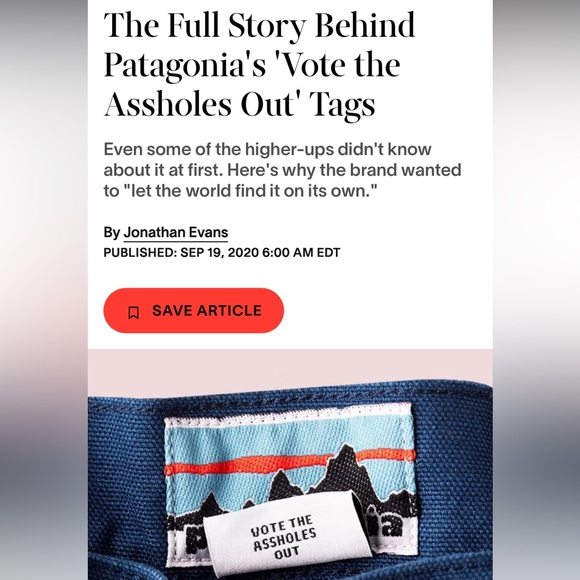 LIMITED EDITION Patagonia NWOT Stand up Shorts - Picture 8 of 10